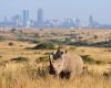 Nairobi National park